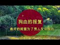 情感大案，男友被閨蜜搶走，為了報復閨蜜，她嫁給了閨蜜的公公