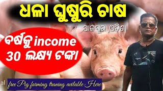 ଘୁଷୁରି ଚାଷ ଦେଖାଇଲା ନୂଆ ଦିଶା ବର୍ଷକୁ income କରୁଛନ୍ତି ଲକ୍ଷାଧିକ ଟଙ୍କା/How to start pig farming in odisha