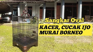 Sangkar Oval Kayu Istimewa Sonokeling Sangkar Cucak Ijo Sangkar Kacer | Adam Custom Sangkar