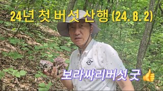 The first mushroom trip in 24 years (24.8.2)] Last year, I went to the Neungi mushroom Gureum