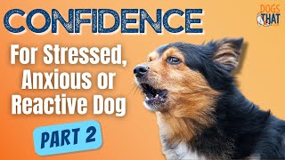 Dog Training A Stressed, Anxious Or Reactive Dog Part 2 #169 #podcast