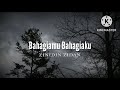 Bahagiamu Bahagiaku - Zinidin Zidan (lirik)