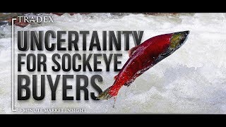 3MMI - Troubled Start to Sockeye Fisheries in North America