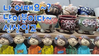 4월13일 토끼네화분  #신상화분입고 냥이분 토기인형  5만이상 택비무료