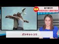 【決定的瞬間】とんでもないタイミングの動画に笑っちゃうキャスター