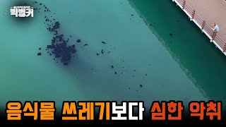 악취로 떠나는 동네 사람들 / 악취나는 도심하천 1부