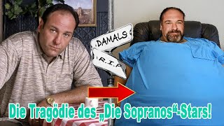 Die Besetzung von DIE SOPRANOS (1999): Das tragische Leben der 20 Stars/Was ist mit ihnen passiert?