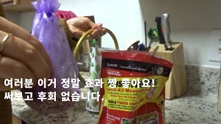 뿌리파리 제대로 박살내기?! 식물키우는분들은 공감하실꺼에요.