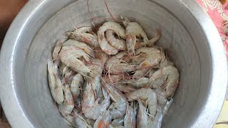 இறால் சுத்தம் செய்வது எப்படி??? How To Clean Prawn?