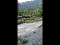 asmr힐링타임 자연의 소리 강원도 평창 오대산 월정사 지장교 계곡 물소리 south korea trip nature sounds relaxing valley sound