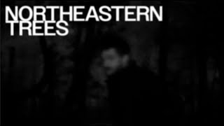 NORTHEASTERN TREES // a short film (2024)