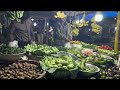 exploring bangladesh s vibrant vegetable markets a taste of local life