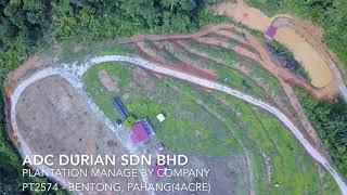 ADC DURIAN SDN BHD MANAGED PLANTATION