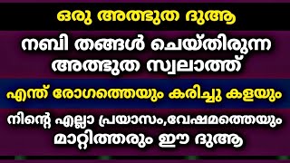 നബി തങ്ങൾ ചെയ്തിരുന്ന ദുആ എന്ത് രോഗത്തെയും കരിച്ചു കളയും | Dua | Rabi Ul Awwal