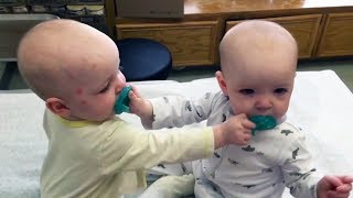 TOP FUNNY TWIN BABIES fighting over Pacifier   REVERSE Edition