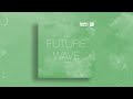 Sample Tools by Cr2 - Future Wave (Sample Pack)