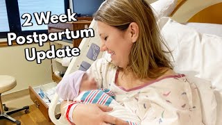POSTPARTUM UPDATE | SURROGACY