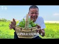 野味63集 野莧菜 油潑蒜蓉 吻仔魚羹 slender amaranth 萍哥pinger