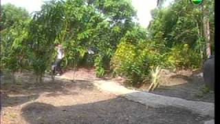 PRJ_20071216.mp4