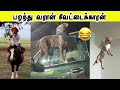 சாகசம் செய்யும் விலங்குகள் 🤣 | பறந்து வரான் வேட்டைக்காரன் | Hoomans