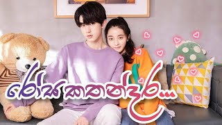 Rosa kathandara (රෝස කතන්දර) | 💖 Korean mix sinhala songs 💖 | Meeting you drama mix | SL Queen Music