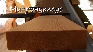 Микронуклеус