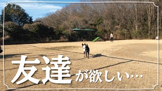 #32 友達が欲しい犬 ドッグラン 国営武蔵丘陵森林公園