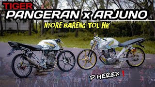 ALIP FANDY OWNER TIGER ARJUNO PERDANA MAIN KERUMAH RIZAL RANS || LANGSUNG NGAJAKIN NYORE TOL HK❗️