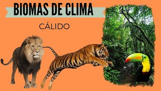 Biomas de clima cálido