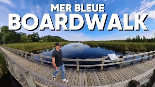 Walk this amazing BOARDWALK - Mer Blue Bog Conservation Area - Ottawa, Ontario