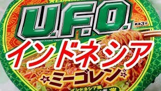 ミーゴレン インドネシア風 日清焼そばU.F.O Japann food yakisoba[頑固おやじ]