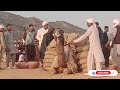 camel weight lifting camel stone lifting domali jhelum domali 23 3 2025 camel mela 2025