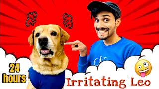 Irritating My Dog For 24 Hours | Leo gussa ho gya | Anant Rastogi