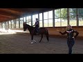 most common mistakes beginner horse riders make horse riding for beginners