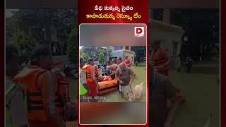 వీధి కుక్కల్ని సైతం కాపాడుతున్న రెస్క్యూ టీం | Heavy Rains In Bangalore #shorts#bangalore #dialnews