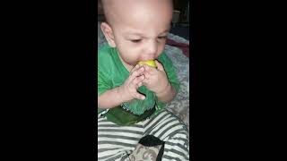 baby tasting lemon