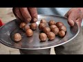 मेकाडेमिया नट खेती सम्बन्धी महत्वपूर्ण जानकारी macadamia nut farming