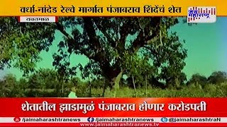 Yavatmal farmer to become reach due to Red Sandalwood tree