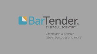 Getting Started With Database Connections in BarTender Software (Tutorial)
