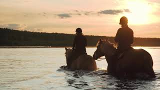 Summer Horseback Riding in Rovaniemi Lapland Finland - Ratsasta keskiyön auringon alla