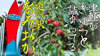 青森No1！評価の高い道の駅は推しポイントが多い！【青森 】道の駅浪岡 アップルヒル