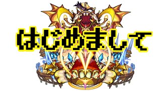 初回降臨轟絶アリアのショットメモ【モンスト】