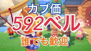 【あつ森】 生放送ライブ参加型　カブ価592ベル