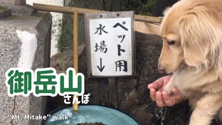 御岳山・わんこと一緒にケーブルカーに乗って🚋トライアルコース【武蔵御嶽神社】【ぶらり旅】Mt. Mitake, cable car ride with your dog🚋trial course