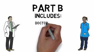 Medicare Basics