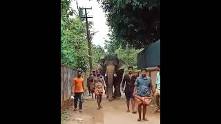 🤣 ചെപ്ര കണ്ണൻ 🤣chepra kannan funny video