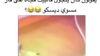 يقولون كان يتجول فالبيت فجاة لقى فار مسوي ديسكو 😂😂