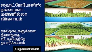 ஹைட்ரோபோனிக்ஸ் நன்மைகள் || SoilLess Farming in Tamil  || Hydroponics ||  தமிழ் வேளாண்மை