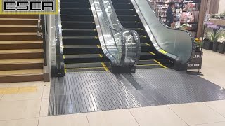 ライフ溝口店 エスカレーター 1F-2F 三菱 Life mizonokuchi Escalator Mitsubishi