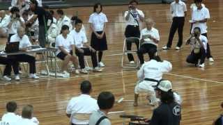 2013少林寺拳法世界大会 in Osaka,Japan 組演武 インドネシア2